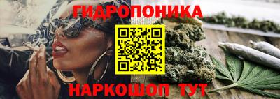 молекула духа Донецк