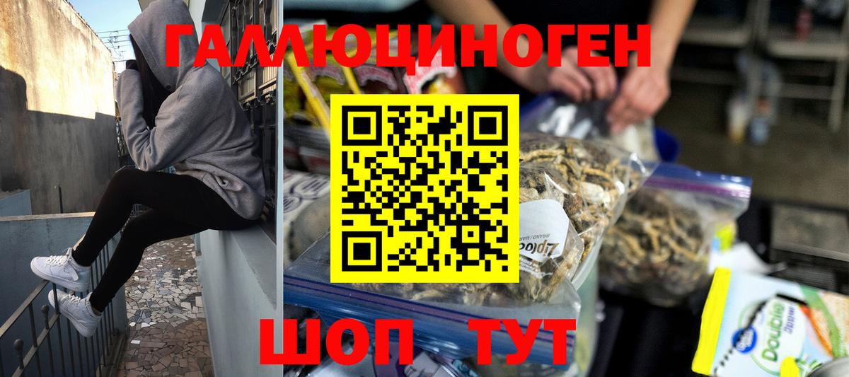 Галлюциногенные грибы GOLDEN TEACHER Курчатов
