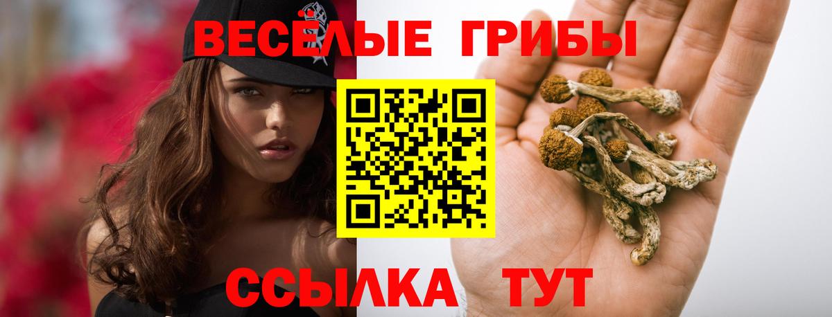 Галлюциногенные грибы мухоморы  Вход с VPN  Курчатов 